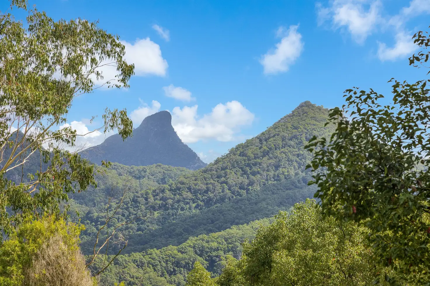 Main view of Homely house listing, 7 Mitchell Street, Uki NSW 2484