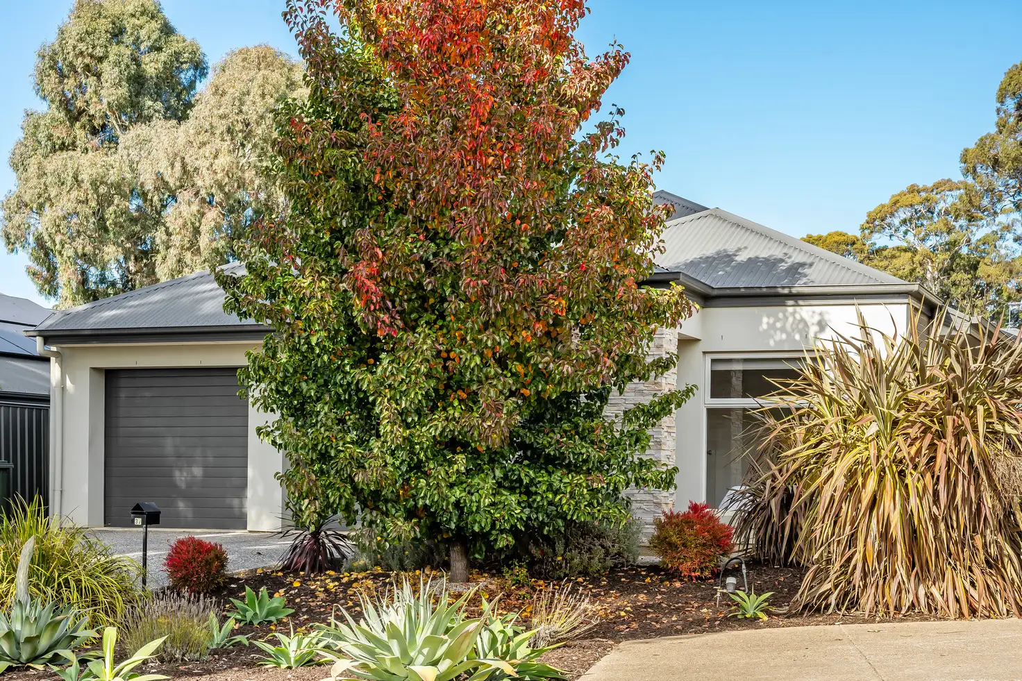 Main view of Homely house listing, 37 Red Gum Crescent, Mount Barker SA 5251