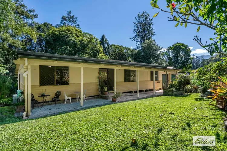 1509 Numinbah Road, Chillingham NSW 2484
