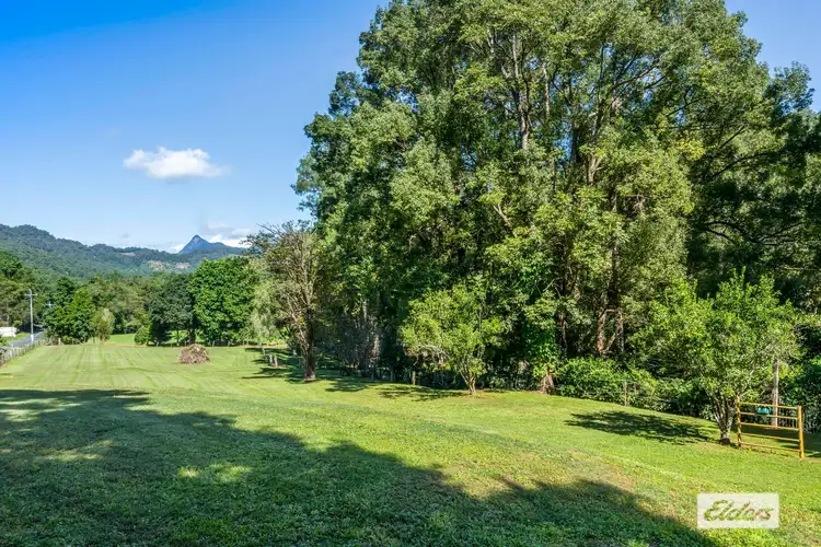 Second view of Homely house listing, 1509 Numinbah Road, Chillingham NSW 2484