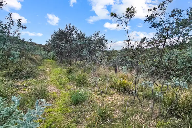 Fifth view of Homely rural property listing, 1 Copper Creek Road, Captains Flat NSW 2623