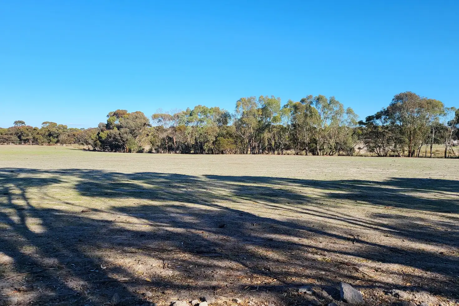 Main view of Homely land listing, LOT 8 Wright Road, Katanning WA 6317
