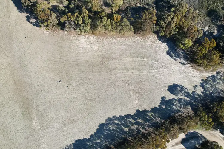 Fourth view of Homely land listing, LOT 8 Wright Road, Katanning WA 6317