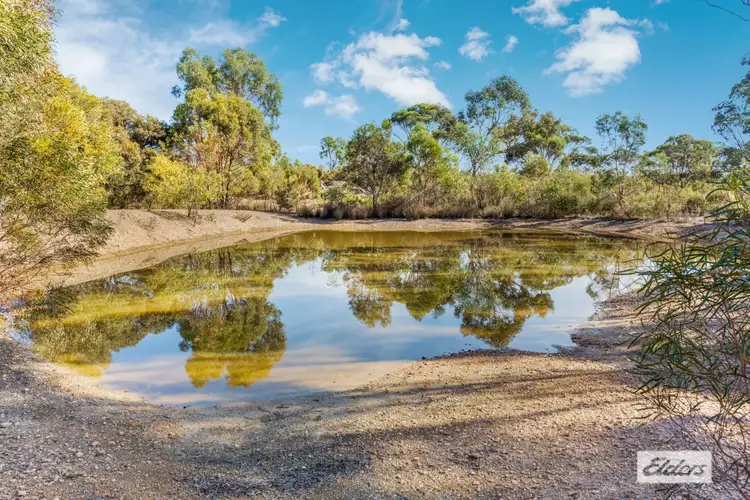 Fifth view of Homely rural property listing, Inglewood-Salisbury Road, Inglewood VIC 3517