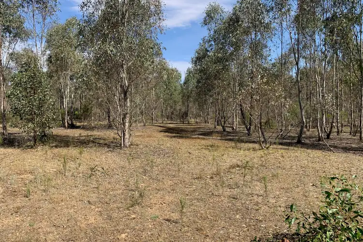 Seventh view of Homely rural property listing, CA 1, Section 3, Main Street, Redcastle VIC 3523