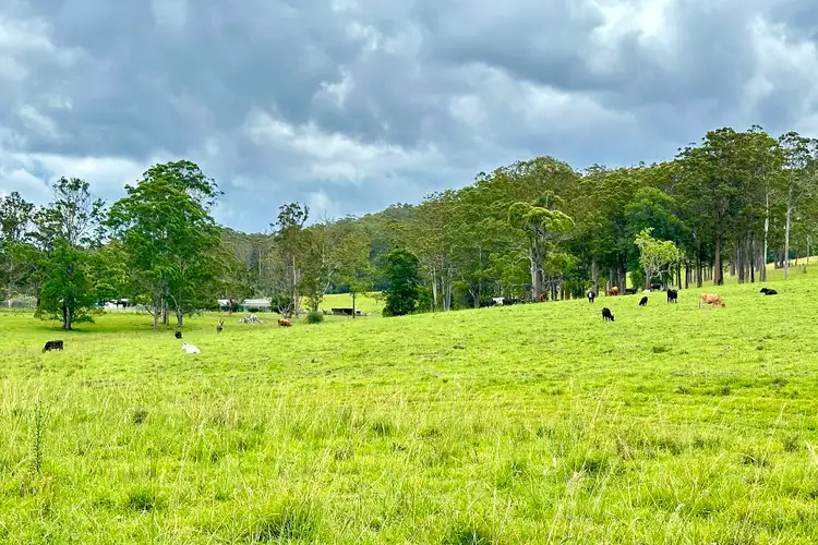 LOT 3, 1239 Bucca Road, Bucca NSW 2450