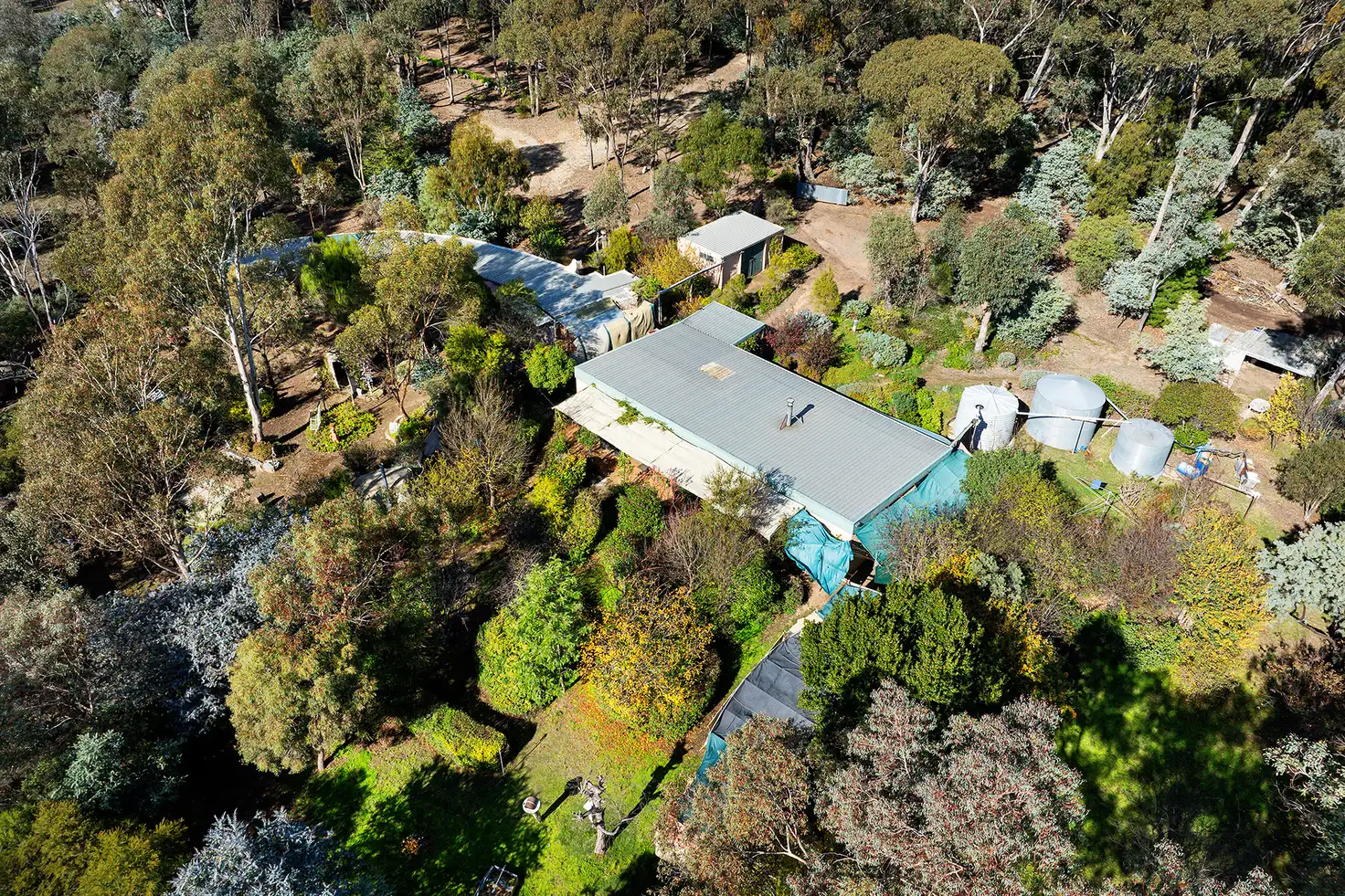 Main view of Homely house listing, 171 Blackjack Road, Harcourt VIC 3453