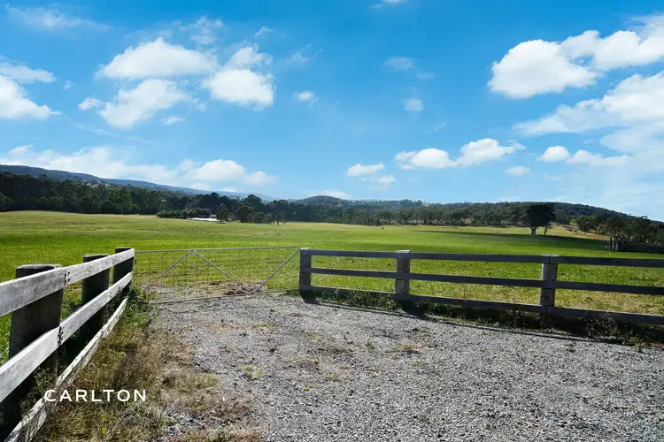 Fifth view of Homely land listing, 1945 Brayton Road, Big Hill NSW 2579