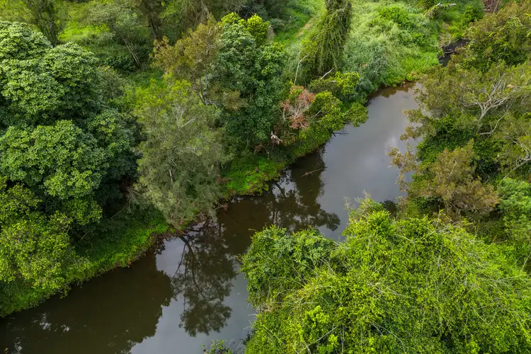 Fifth view of Homely land listing, 12 Campbell Court, Samford Valley QLD 4520