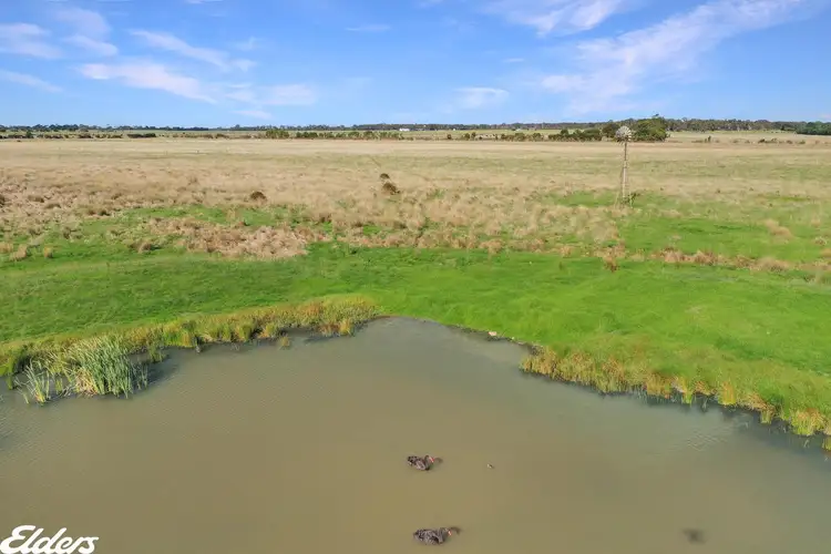 Fifth view of Homely rural property listing, Pound Road East, Yarram VIC 3971