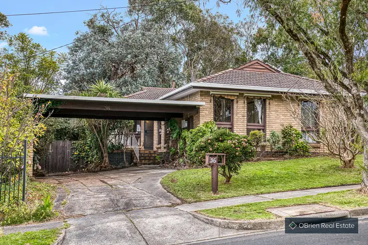 36 Wildwood Avenue, Vermont South VIC 3133