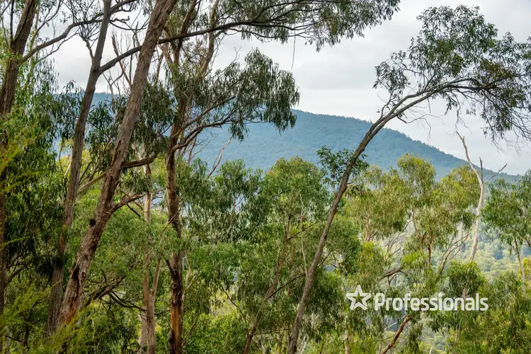 169 Lowes Road, Chum Creek VIC 3777