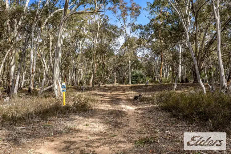 Seventh view of Homely rural property listing, 664 Landsborough-Elmhurst Road, Landsborough VIC 3384