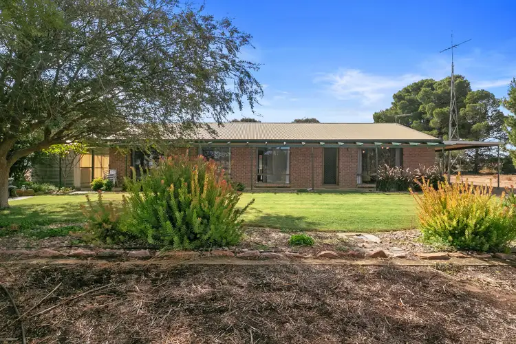 Main view of Homely house listing, 162 Sunny Hill School Road, Lochiel SA 5510
