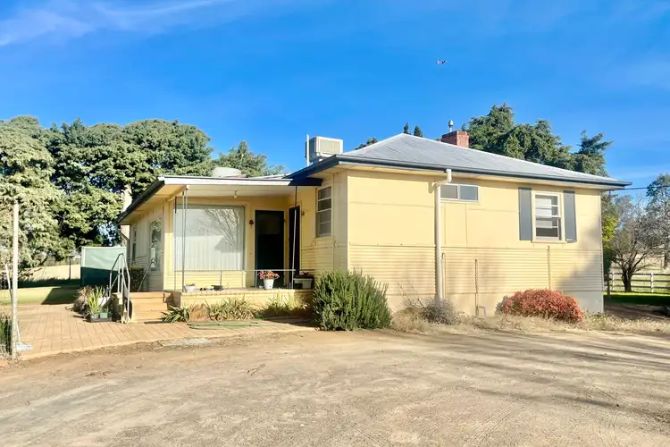 Main view of Homely house listing, 423 Back Creek Road, Young NSW 2594