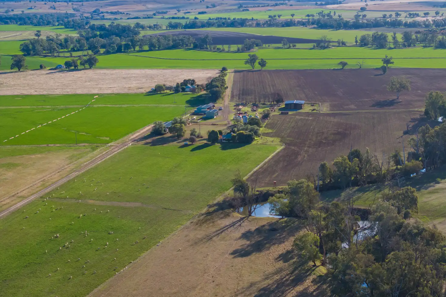 Main view of Homely rural property listing, Settlement Bridge Road, Canowindra NSW 2804