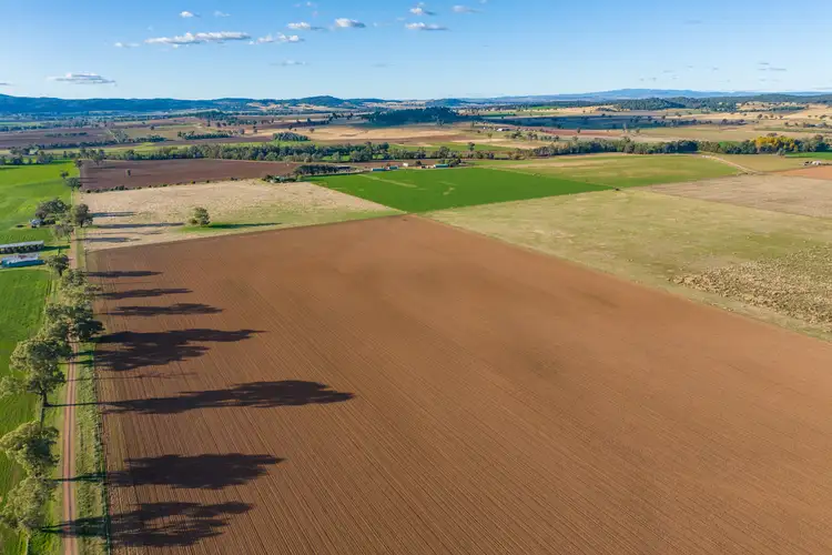 Third view of Homely rural property listing, Settlement Bridge Road, Canowindra NSW 2804