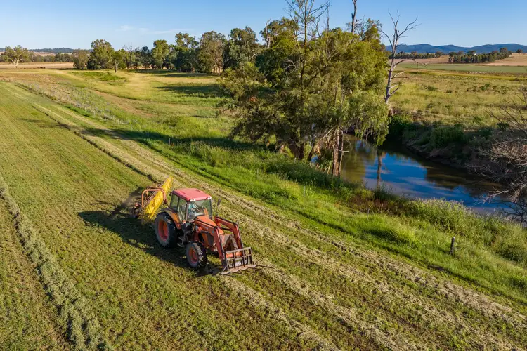 Fifth view of Homely rural property listing, Settlement Bridge Road, Canowindra NSW 2804