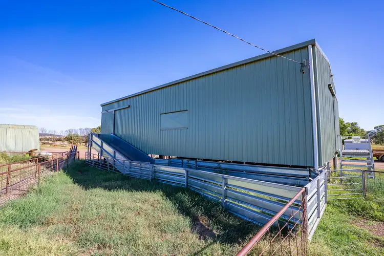 Seventh view of Homely rural property listing, Settlement Bridge Road, Canowindra NSW 2804