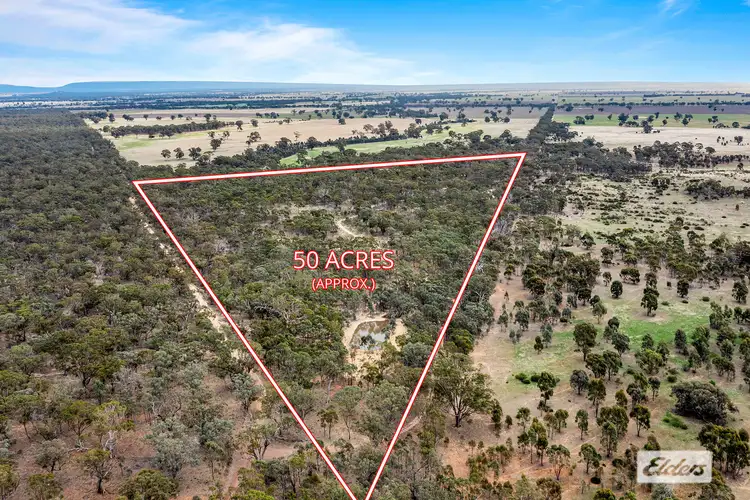 Main view of Homely rural property listing, Morrl Morrl Forest Road, Wallaloo East VIC 3387