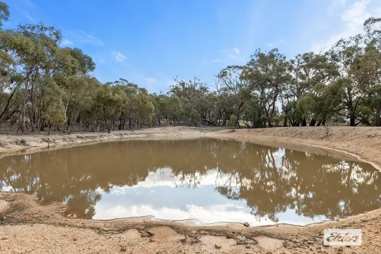 Sixth view of Homely rural property listing, Morrl Morrl Forest Road, Wallaloo East VIC 3387