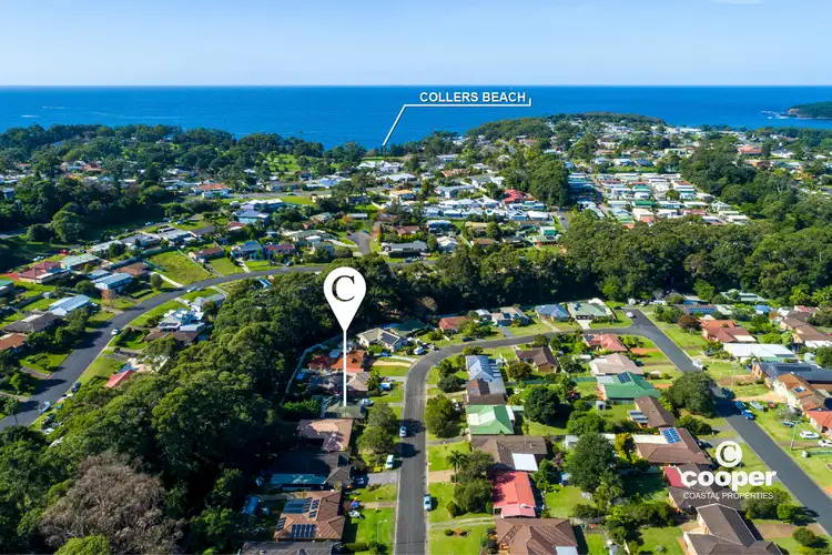 Main view of Homely house listing, 31 Carramar Crescent, Ulladulla NSW 2539