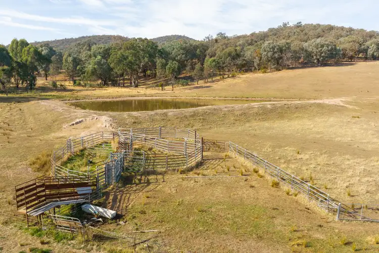 Fifth view of Homely rural property listing, 979 Four Mile Lane, Little Billabong NSW 2644