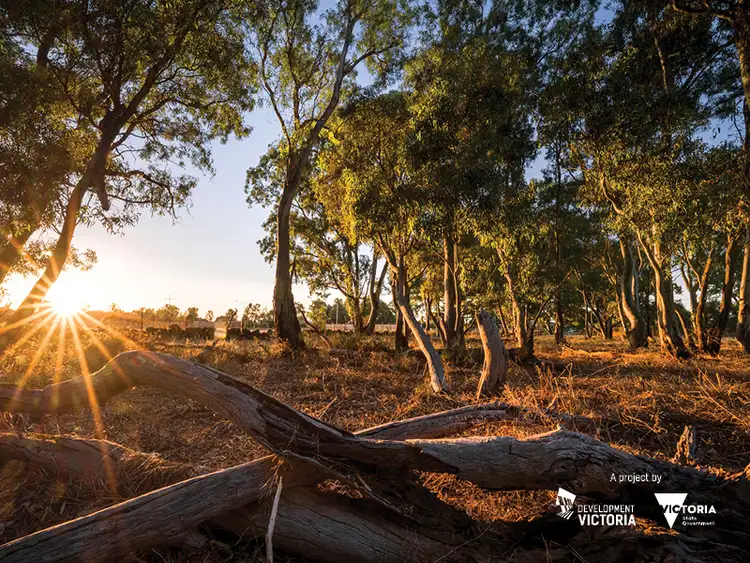Fifth view of Homely townhouse listing, Lot 36 Sugarloaf Circuit, Wollert VIC 3750