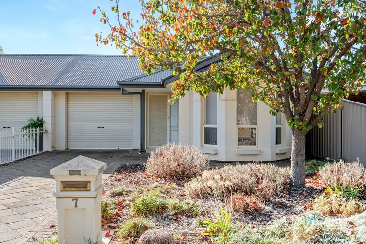 7 Harcourt Avenue, Clovelly Park SA 5042