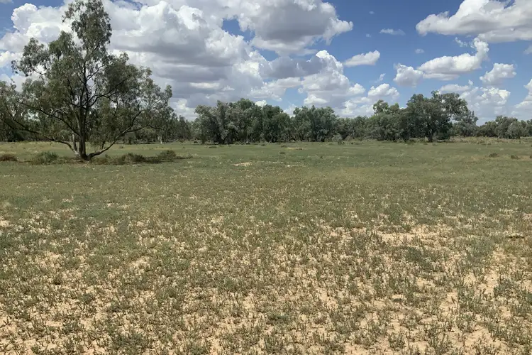 Second view of Homely rural property listing, 8560 – 8 Arthur Hall Vc Way, Gongolgon NSW 2839