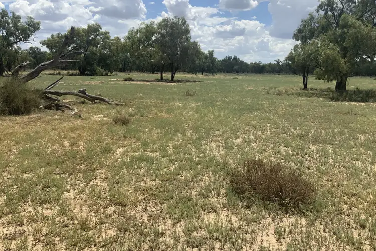 Third view of Homely rural property listing, 8560 – 8 Arthur Hall Vc Way, Gongolgon NSW 2839