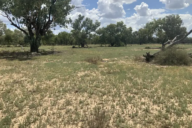 Fourth view of Homely rural property listing, 8560 – 8 Arthur Hall Vc Way, Gongolgon NSW 2839