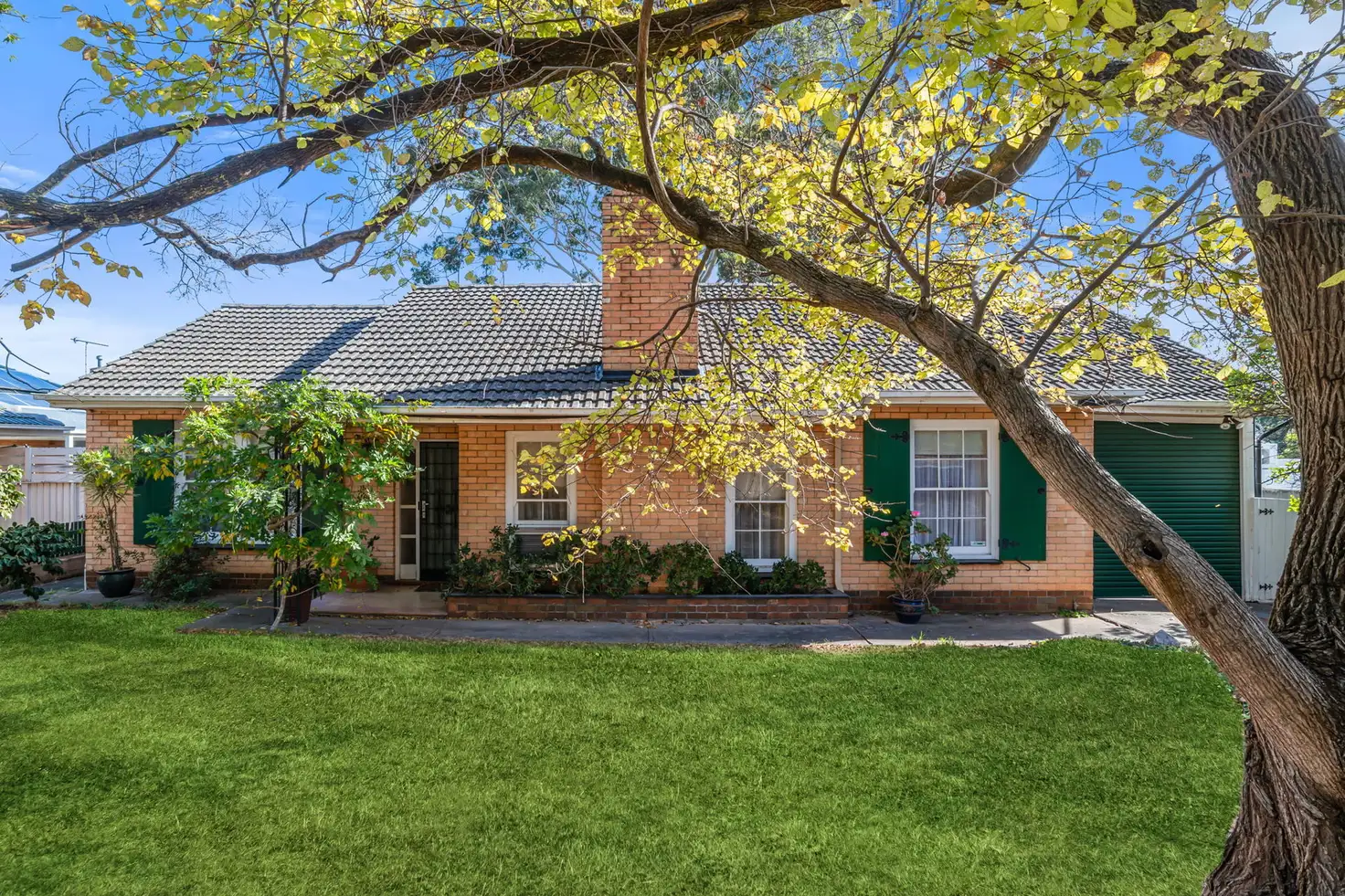 Main view of Homely house listing, 99 Penfold Road, Wattle Park SA 5066
