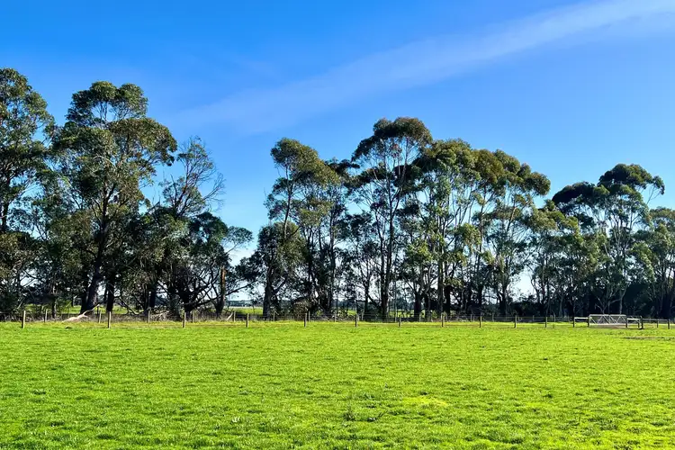 Third view of Homely rural property listing, Cobden-South Ecklin Road, Cobden VIC 3266