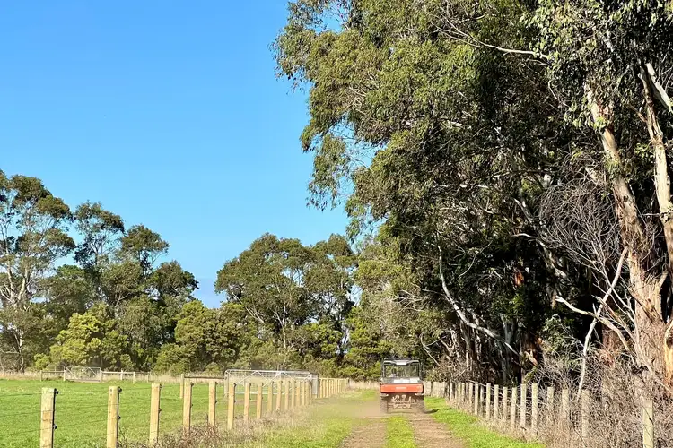 Sixth view of Homely rural property listing, Cobden-South Ecklin Road, Cobden VIC 3266