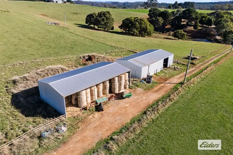 Fifth view of Homely rural property listing, 581 Deep Creek Road, Wynyard TAS 7325