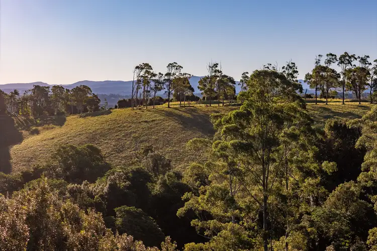 783 Fernleigh Road, Brooklet NSW 2479