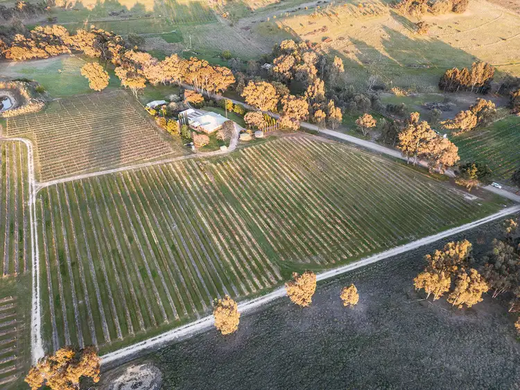 Fifth view of Homely rural property listing, 116 Polish Hill River Road, Clare SA 5453