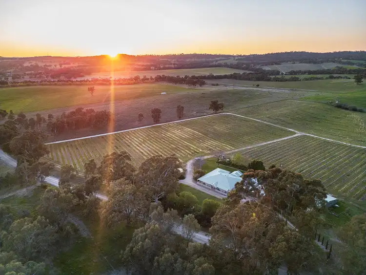 Sixth view of Homely rural property listing, 116 Polish Hill River Road, Clare SA 5453