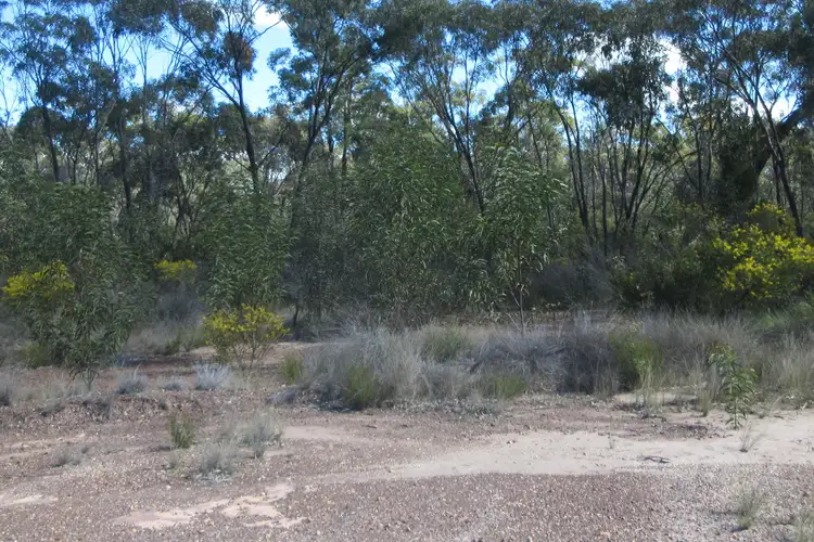 Second view of Homely rural property listing, Lot/113 Lewington Road, Tara QLD 4421