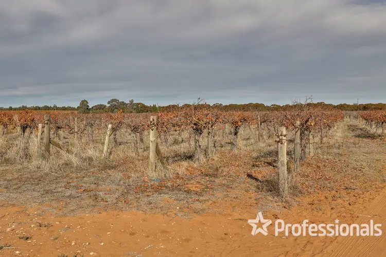 Fourth view of Homely rural property listing, 607 Boomerang Avenue, Cardross VIC 3496