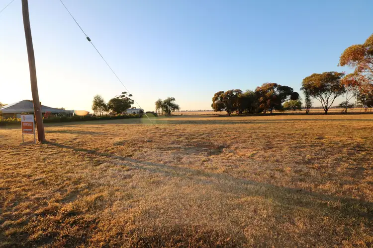 Main view of Homely rural property listing, LOT 1 Bell Street, Borung VIC 3518