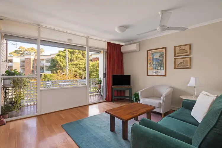 3a/18 Lucy Street, Ashfield NSW 2131