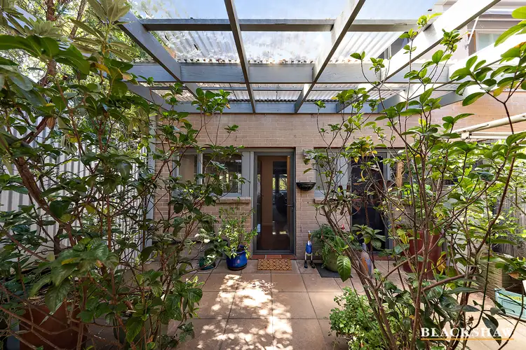 8 Menkens Court, Phillip ACT 2606