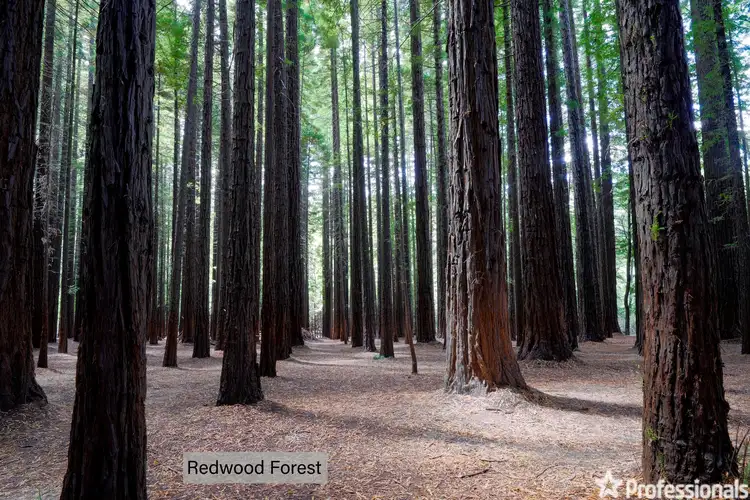 Sixth view of Homely land listing, LOT 263, 12 Hillcrest Drive, Mcmahons Creek VIC 3799