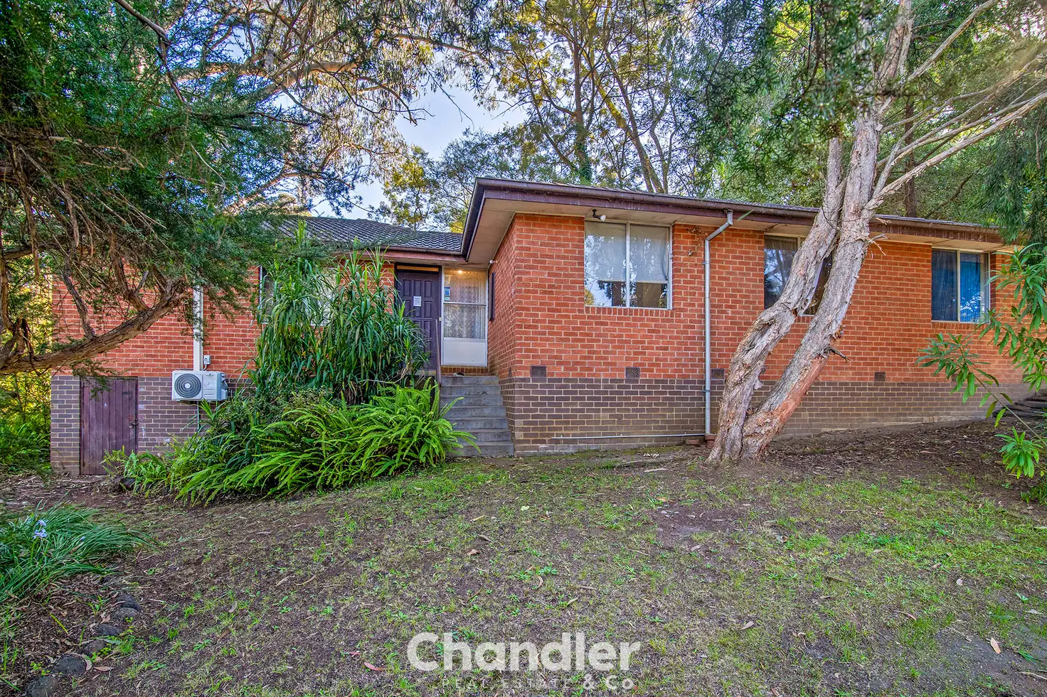 Main view of Homely house listing, 23 Acacia Avenue, Upwey VIC 3158