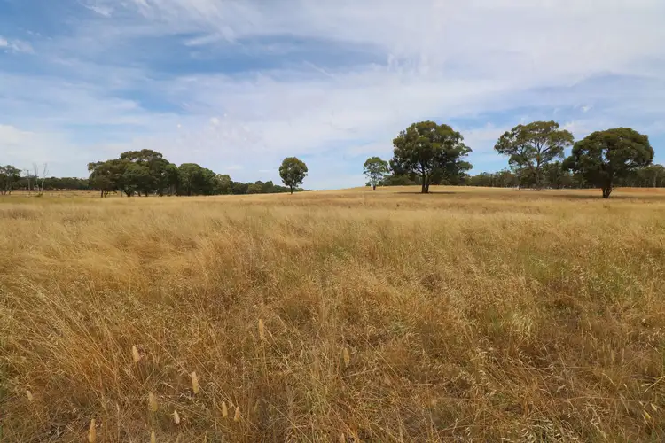 Main view of Homely rural property listing, LOT 1 Calder Highway, Wedderburn VIC 3518