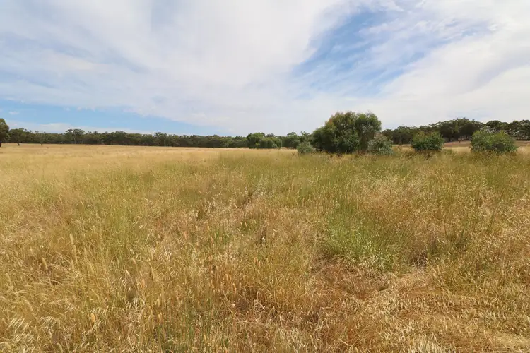 Third view of Homely rural property listing, LOT 1 Calder Highway, Wedderburn VIC 3518