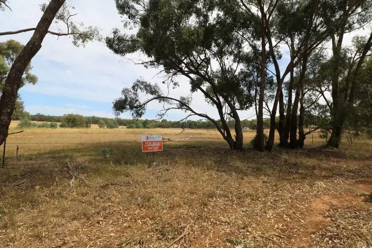 Fifth view of Homely rural property listing, LOT 1 Calder Highway, Wedderburn VIC 3518