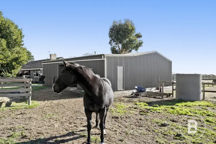 Third view of Homely rural property listing, 19 Schwarz Road, Bald Hills VIC 3364